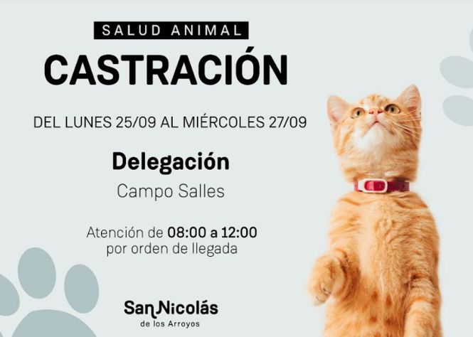 tráiler de castración san nicolás