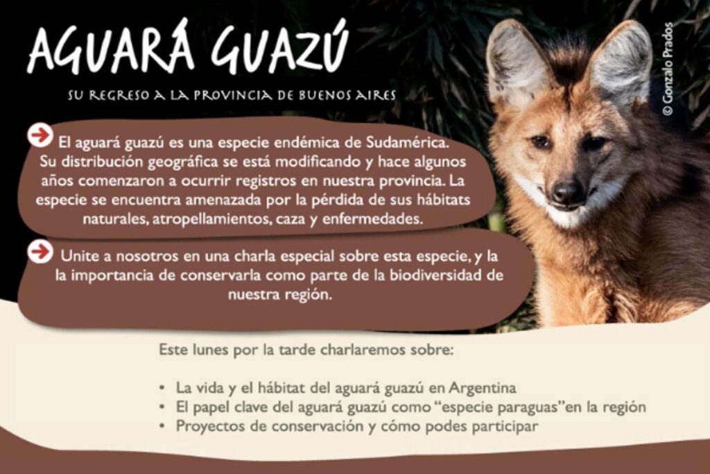 charla sobre el aguara guazo en ramallo