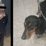 detenido por robar un perro en san nicolas