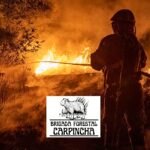 4 de mayo día del bombero forestal