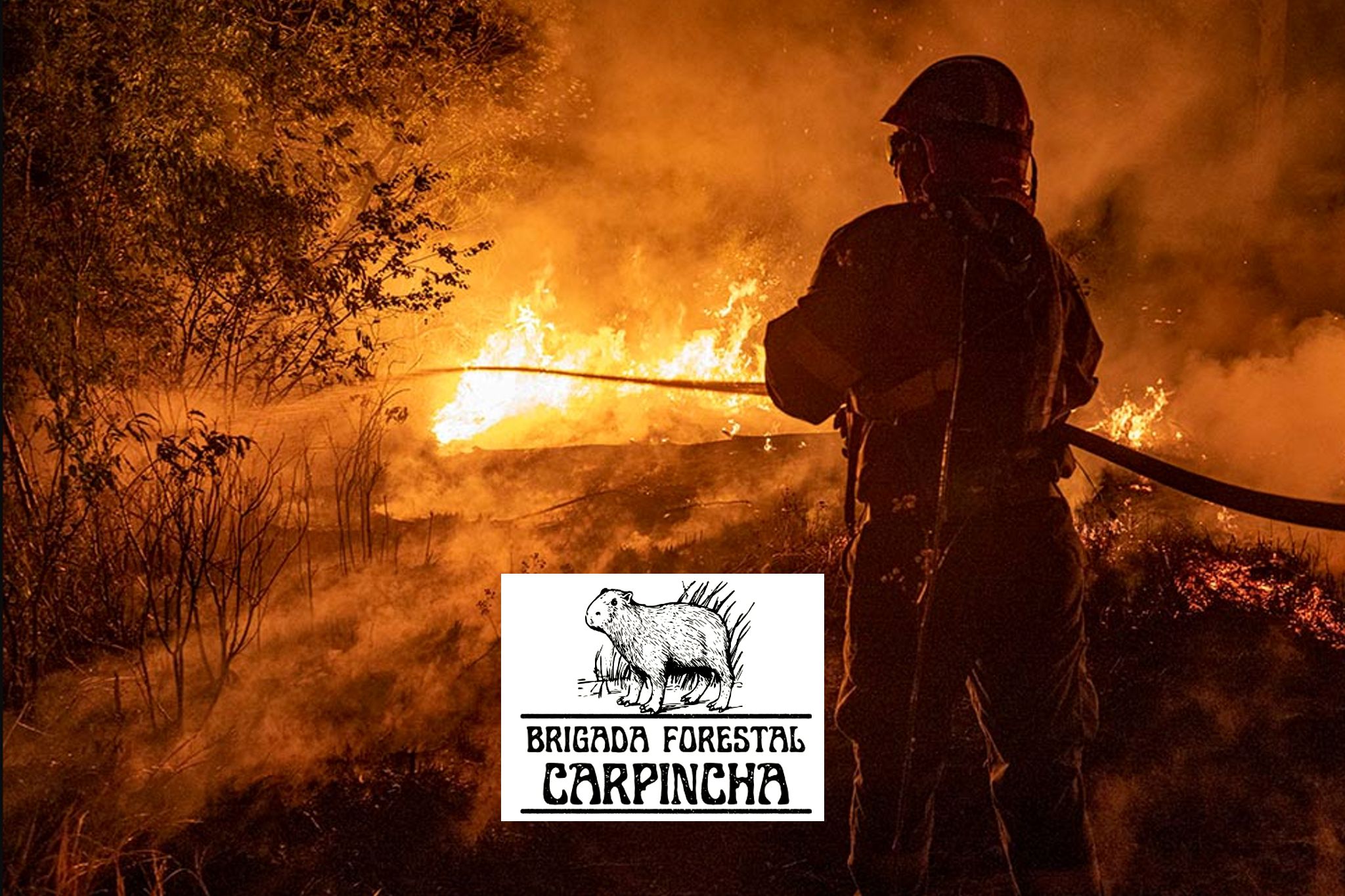 4 de mayo día del bombero forestal