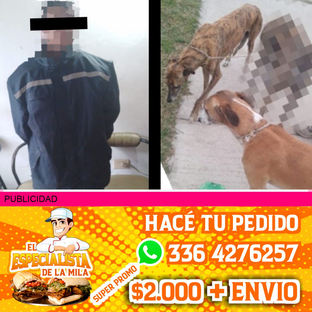 perros de carreras robados en san Nicolás