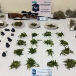 Un operativo liderado por efectivos de la Delegación Departamental de Investigaciones del Tráfico de Drogas Ilícitas de San Nicolás permitió desmantelar una red de comercialización de estupefacientes en la localidad de Arrecifes. El procedimiento incluyó cuatro allanamientos simultáneos en los barrios La Cumbre, Palermo y Molina, donde se logró el secuestro de gran cantidad de drogas, dinero en efectivo, armas y teléfonos celulares.