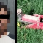 En el marco del "Operativo Blindaje", un efectivo de la Policía Local logró la aprehensión de un individuo que intentaba sustraer la rueda de un automóvil estacionado en la vía pública. El hecho ocurrió el pasado 1° de mayo, en la intersección de las calles Obligado y Bustamante, en la ciudad de San Nicolás.