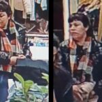 Un comerciante del centro de la ciudad, cansado de los constantes robos en su local de ropa infantil, decidió difundir públicamente el rostro de una mechera que le sustrajo varias prendas. En las imágenes de las cámaras de seguridad se puede observar cómo, con total impunidad, la mujer oculta las prendas entre su ropa, sin percatarse de que una cámara de seguridad la estaba siguiendo.