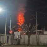 Un importante incendio se inició hace instantes en el barrio Prado Español, cuando un pino de grandes dimensiones comenzó a arder en llamas tras un accidente ocurrido durante un asado. El hecho tuvo lugar en calle Einstein, casi esquina Avellaneda, y generó preocupación entre los vecinos por el riesgo de propagación del fuego hacia las viviendas linderas.