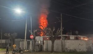 Un importante incendio se inició hace instantes en el barrio Prado Español, cuando un pino de grandes dimensiones comenzó a arder en llamas tras un accidente ocurrido durante un asado. El hecho tuvo lugar en calle Einstein, casi esquina Avellaneda, y generó preocupación entre los vecinos por el riesgo de propagación del fuego hacia las viviendas linderas.