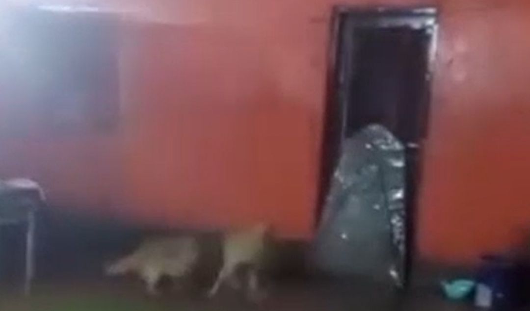 El barrio Las Mellizas sigue en el centro de la escena por los conflictos territoriales que enfrentan dos bandas de la zona. En las últimas horas salió a la luz un video en el que se observa a un grupo armado disparando contra una vivienda de un vecino.