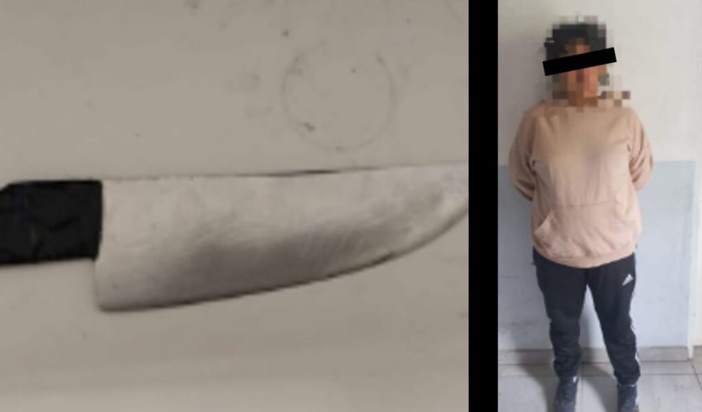 Una joven de 18 años fue aprehendida por personal del Comando de Patrullas tras agredir a su ex suegro con un arma blanca y provocar destrozos en una vivienda ubicada en calle Pastor Omar de Felipe al 400.