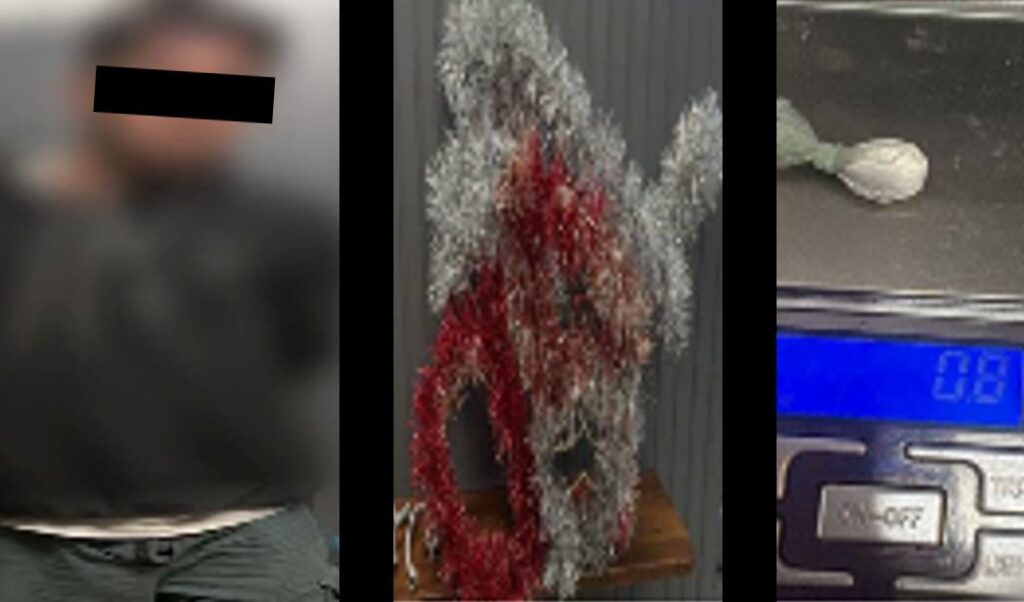 Un insólito y repudiable hecho delictivo ocurrió en el Colegio AMAF, donde un delincuente fue detenido tras robar adornos del arbolito de Navidad y otros elementos del establecimiento educativo. El episodio generó indignación en la comunidad educativa y en los vecinos de la zona.