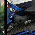 Un procedimiento que comenzó con la investigación por el robo de una motocicleta terminó con el hallazgo de una plantación de marihuana y elementos vinculados a la presunta comercialización de estupefacientes.