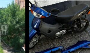 Un procedimiento que comenzó con la investigación por el robo de una motocicleta terminó con el hallazgo de una plantación de marihuana y elementos vinculados a la presunta comercialización de estupefacientes.