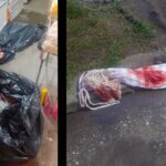 Un violento episodio se registró en la noche del día de ayer en el barrio Las Viñas, donde un comerciante hirió de un disparo en la pierna a un delincuente que intentaba robar en su despensa. El sospechoso logró escapar tras el hecho y actualmente permanece prófugo.