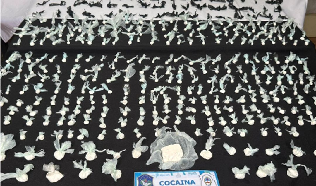 Un importante operativo antidrogas permitió desarticular una organización narco criminal que operaba en la zona oeste de San Nicolás de los Arroyos. El procedimiento fue llevado adelante por la Delegación Departamental de Investigaciones del Tráfico de Drogas Ilícitas San Nicolás en conjunto con la UFI N° 1, a cargo de la fiscal María Verónica Marcantonio.