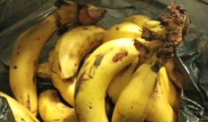 Un adolescente de 14 años fue detenido en San Nicolás luego de ser acusado de intentar robar una bolsa con bananas de una verdulería de la zona oeste de la ciudad. El hecho generó conmoción luego de que el menor relatara ante los efectivos que lo hizo para poder llevar comida a su familia.
