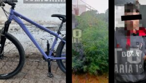 Un allanamiento realizado en las últimas horas por personal de la Comisaría Primera de San Nicolás permitió esclarecer el robo de una bicicleta y derivó en el hallazgo de una importante plantación de marihuana en el domicilio del principal sospechoso. El procedimiento culminó con el secuestro del rodado sustraído, plantas de cannabis y la aprehensión de un joven de 22 años.