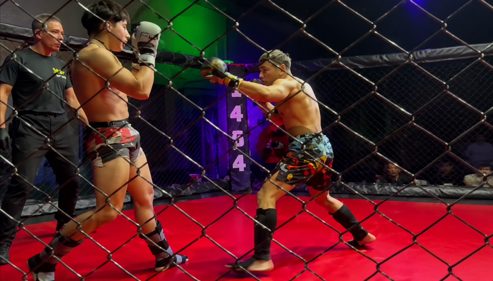 El peleador nicoleño Franco "El Lobo" Tombolesi protagonizó una destacada actuación en Liniers, donde dominó gran parte del combate. Sin embargo, dos de los tres jueces vieron otra pelea y el resultado final dejó una fuerte controversia.