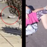Una menor de 13 años resultó gravemente herida tras protagonizar un siniestro vial en la intersección de Catamarca y San Lorenzo, en el barrio Las Viñas.