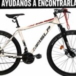 Se ofrece una recompensa a quien pueda aportar información precisa que permita recuperar una bicicleta robada el pasado 2 de septiembre en el Colegio Nacional.
