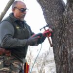 Durante la mañana de ayer, la Municipalidad de San Nicolás comenzó a realizar un tratamiento especial en los árboles de Plaza Mitre que se encuentran afectados por la presencia de claveles del aire, una especie que puede debilitarlos y perjudicar su desarrollo.